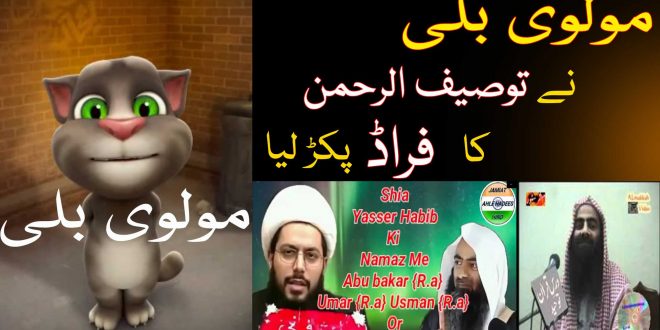 مولوی بلی نے توصیف الرحمان کا جھوٹ پکڑ لیا- یاسر الحبیب خبیث کی حقیقت کیا ہے