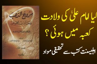 کیا امام علی ع کی ولادت خانہ کعبہ میں ہوئی ؟ اہلیسنت کتب سے سکین پیجز