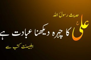 مولا علی ع کا چہرہ دیکھنا عبادت ہے - رسول خدا ص