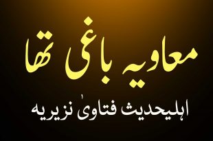 معاویہ کو باغی سمجھنا چاہیے - اہلیحدیث فتاویٰ نزیریہ