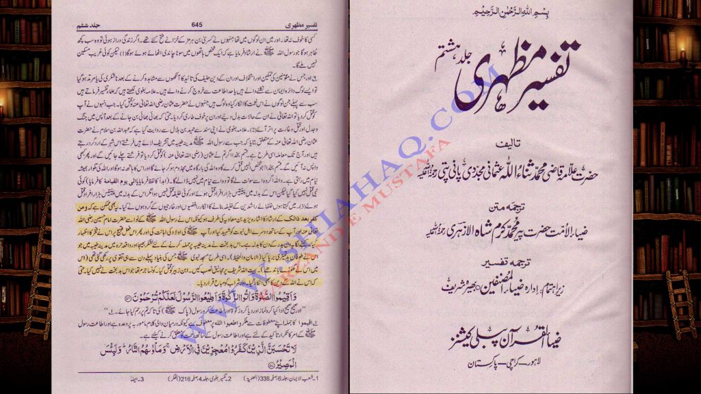 یزید لعین - اہلیسنت کتب سے سکین پیجز 