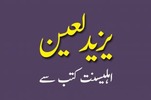 یزید لعنت - اہلیسنت کتب سے سکین پیجز