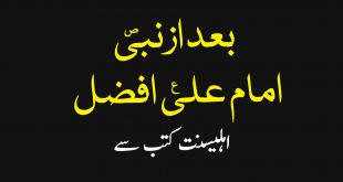 رسول پاک ص کے بعد سب سے افضل حضرت علی ع ہیں - اہلیسنت کتب سےسکین پیجز