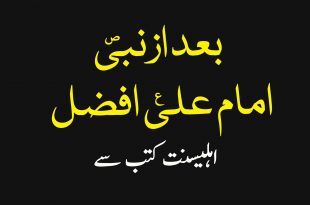 رسول پاک ص کے بعد سب سے افضل حضرت علی ع ہیں - اہلیسنت کتب سےسکین پیجز