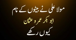 مولا علی علیہ السلام نے بیٹوں کے نام ابو بکر عمر و عثمان کیوں رکھے؟