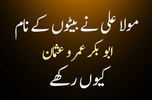 مولا علی علیہ السلام نے بیٹوں کے نام ابو بکر عمر و عثمان کیوں رکھے؟