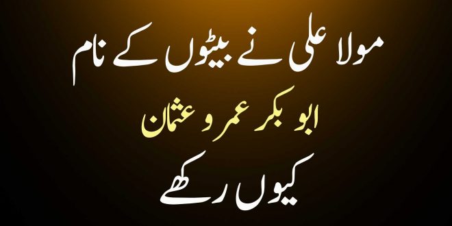 مولا علی علیہ السلام نے بیٹوں کے نام ابو بکر عمر و عثمان کیوں رکھے؟