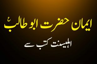 ایمان حضرت ابوطالب - اہلیسنت کتب سے سکین پیجز