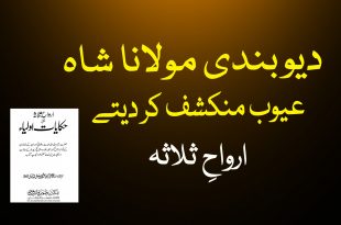 دیوبندی مولانا عیوب منکشف کر دیتے ہیں - دیوبندی کتب سے سکین پیجز