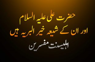 حضرت علی علیہ السلام اور ان کے شیعہ خیر البریہ ہیں - اہلیسنت کتب سے سکین پیجز