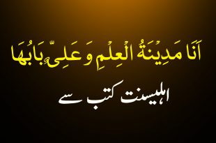 حدیث اَنَا مَدِیْنَۃُ الْعِلْمِ وَعَلِیٌّ بَابُھَا اہلیسنت کتب سے سکین پیجز