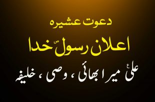 دعوت عشیرہ اعلان رسول خدا ص علی ع میرا وصی ، خلیفہ - اہلیسنت کتب سے سکین پیجز