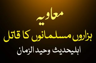 معاویہ نے ہزاروں مسلمانوں کا خون گرایا - اہلیحدیث کتب سے سکین پیجز