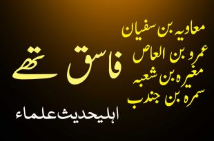 معاویہ ، عمرو بن العاص ، مغیرہ اور سمرہ فاسق صحابہ تھے - اہلیحدیث کتب سے سکین پیجز