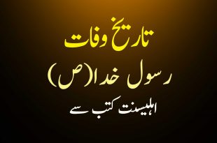 تاریخ وفات رسول خدا(ص) - اہلیسنت کتب سے سکین پیجز