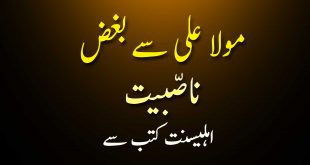 حضرت علی ع سے بغض ناصّبیت - اہلیسنت کتب سے سکین پیجز