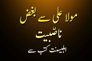 حضرت علی ع سے بغض ناصّبیت - اہلیسنت کتب سے سکین پیجز