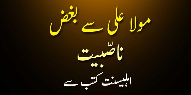 حضرت علی ع سے بغض ناصّبیت - اہلیسنت کتب سے سکین پیجز