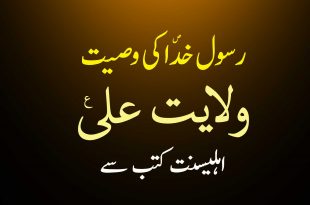 رسول خدا ص کی وصیت - ولایت علی ع - اہلیسنت کتب سے سکین پیجز