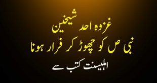 غزوہ احد میں شیخین کا نبی ص کو چھوڑ کر فرار ہونا - اہلیسنت کتب سے سکین پیجز