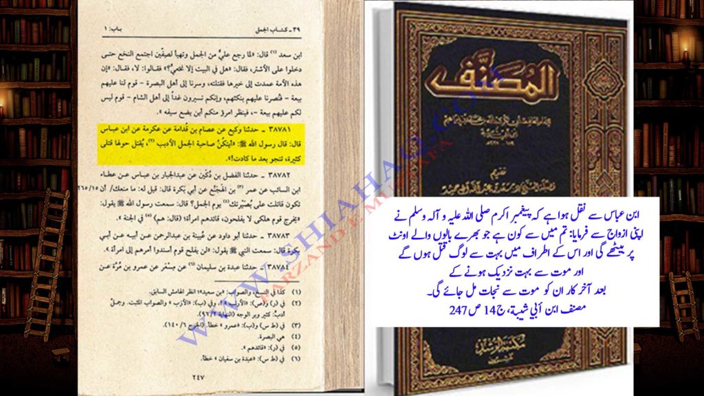 جنگ جمل اور رسول خدا ص کی  پیشین گوئی - اہلسنت کتب سے سکین پیجز