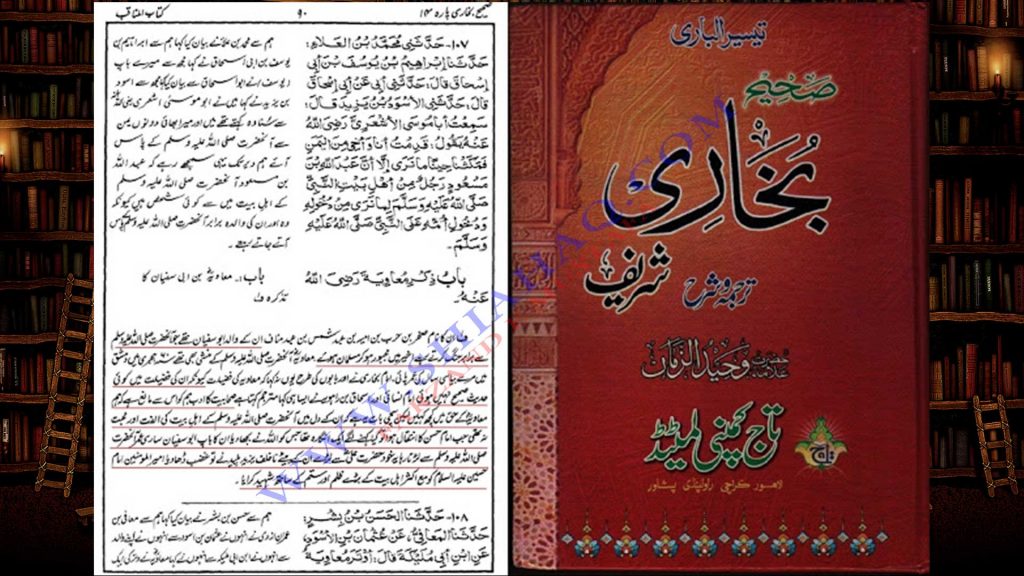 معاویہ کے دل میں اہلیبیت ع کی محبت نہ تھی - اہلیحدیث کتب سے سکین پیجز