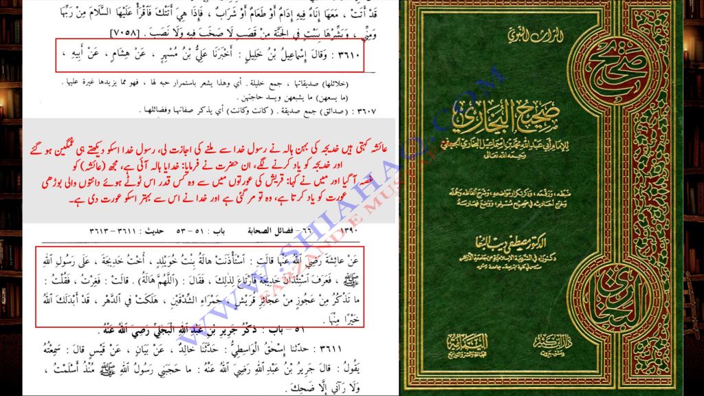 حضرت عائشہ کا جناب خدیجہ ع کی برتری و فضیلت کا اعتراف - اہلیسنت کتب سے سکین پیجز