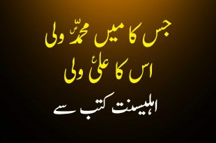 جس کا میں محمّد ص ولی اس کا علی ع ولی - اہلیسنت کتب سے سکین پیجز