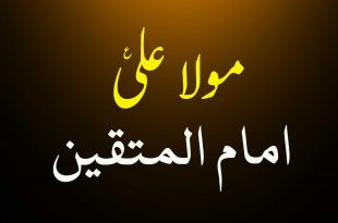 مولا علی ع امام المتقین - اہلسینت کتب سے سکین پیجز