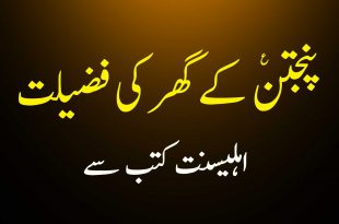 پنجتن ع کے گھر کی فضیلت - اہلیسنت کتب سے سکین پیجز