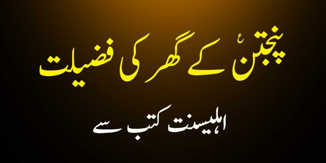 پنجتن ع کے گھر کی فضیلت - اہلیسنت کتب سے سکین پیجز