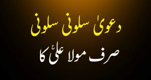 سلونی سلونی کا دعویٰ صرف مولا علی ع کا - اہلیسنت کتب سے سکین پیجز