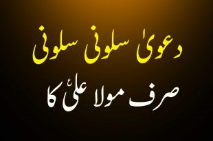 سلونی سلونی کا دعویٰ صرف مولا علی ع کا - اہلیسنت کتب سے سکین پیجز