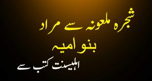 شجرہ ملعونہ سے مراد بنو امیہ ہے - اہلسینت کتب سے سکین پیجز