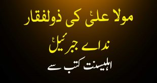 مولا علی ع کی ذولفقاراور نداے جبرئیل ع - اہلیسنت کتب سے سکین پیجز