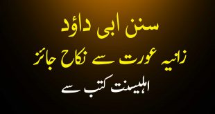 حدیث سنن ابی داؤد - زانیہ عورت سے نکاح جائز