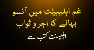 غم اہلیبیت ع میں آنسو بہانے کا اجر و ثواب - اہلیسنت کتب سے سکین پیجز