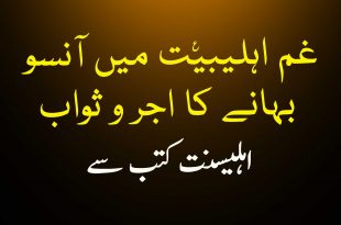 غم اہلیبیت ع میں آنسو بہانے کا اجر و ثواب - اہلیسنت کتب سے سکین پیجز