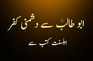 حضرت ابو طالب ع سے دشمنی کفر ہے - اہلسنت کتب سے سکین پیجز