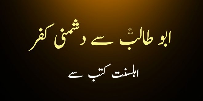 حضرت ابو طالب ع سے دشمنی کفر ہے - اہلسنت کتب سے سکین پیجز