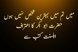 میں تم میں بہترین شخص نہیں ہوں حضرت ابو بکر کا اعتراف - اہلسنت کتب سے