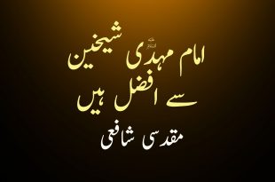 امام مہدی ع شیخین سے افضل ہیں - مقدسی شافعی