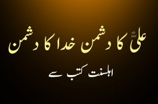 علی ع کا دشمن خدا کا دشمن - اہلسنت کتب سے سکین پیجز