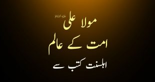 مولا علی ع امت کے سب سے بڑے عالم - اہلسنت کتب سے سکین پیجز