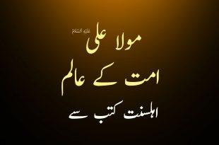 مولا علی ع امت کے سب سے بڑے عالم - اہلسنت کتب سے سکین پیجز