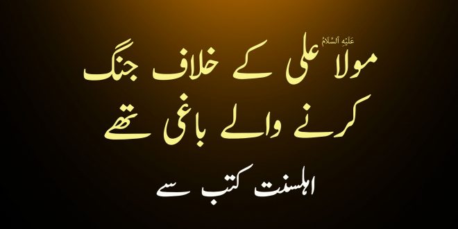 مولا علی ع کے خلاف جنگ کرنے والے باغی تھے - اہلسنت کتب سے سکین پیجز