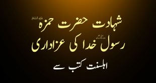 شہادت حضرت حمزہ ع اور رسول خدا ص کی عزاداری - اہلسنت کتب سے سکین پیجز