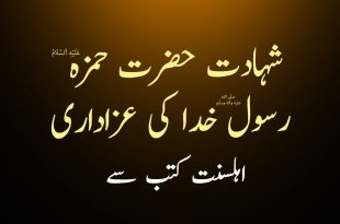 شہادت حضرت حمزہ ع اور رسول خدا ص کی عزاداری - اہلسنت کتب سے سکین پیجز