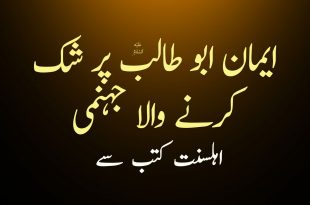 ایمان ابو طالب ع پر شک کرنے والا جہنمی ہے - اہلسنت کتب سے