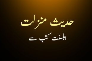 حدیث منزلت صحیح مسلم سے